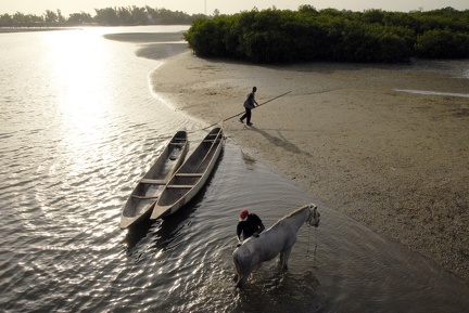 Isola delle conchiglie Senegal